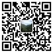 the qr code